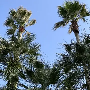 サムエル・コッキング苑