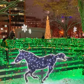 こちらは迷路になっていました