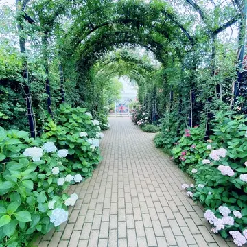 横浜イングリッシュガーデン内のトンネル