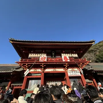鶴岡八幡宮　初詣　お参り　お正月