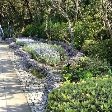 サムエル・コッキング苑