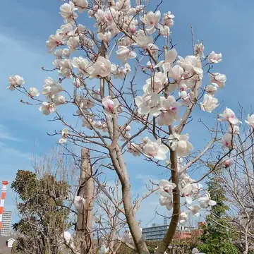 横浜イングリッシュガーデン園内