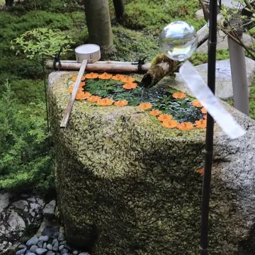 京都　 正寿院  風鈴まつり  風鈴寺