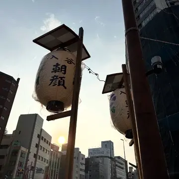 朝顔市
