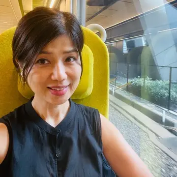 西武鉄道特急　ラビュー
