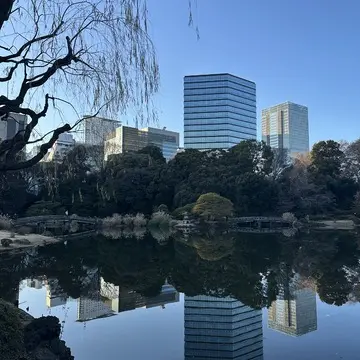 新宿御苑　都内　新宿　散策　自然　花　ビル　庭園