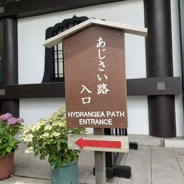 長谷寺　整理券　入場券