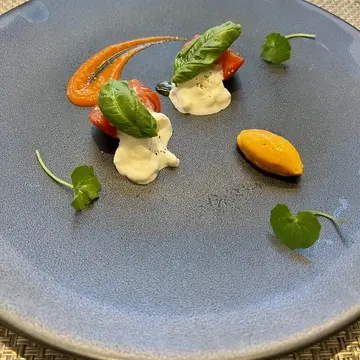 シンクロニアディシンジハラダのお料理