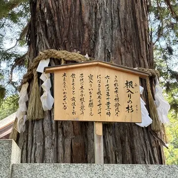 長野旅　諏訪湖　諏訪大社　下社秋宮