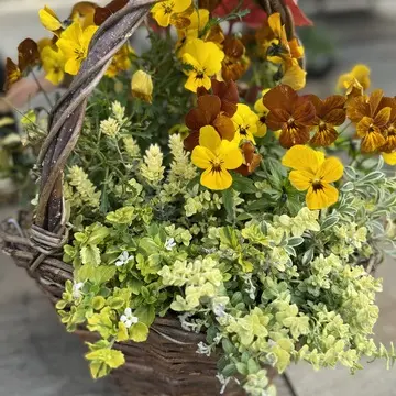 コピスガーデン