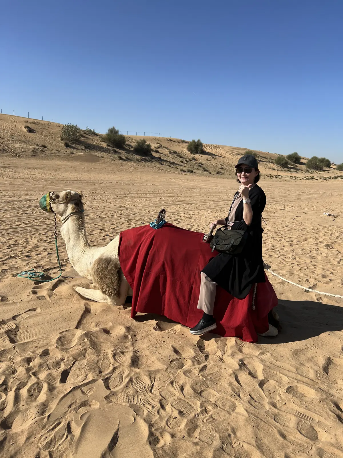 デザートサファリ