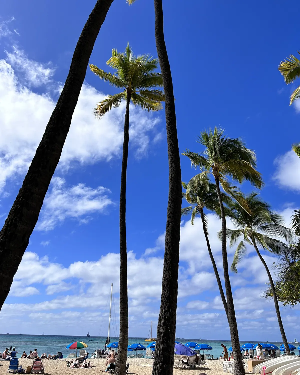 海を見ながら食べました