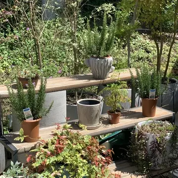 ル・ミリュウ 鎌倉山　(le milieu kamakurayama)  鎌倉カフェ