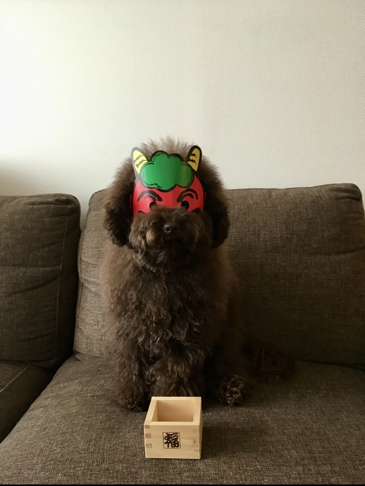 エクラ 華組　根村麻里さんの愛犬