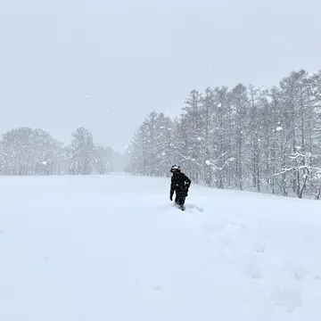 白銀の平野。膝上の新設の上を歩く。
