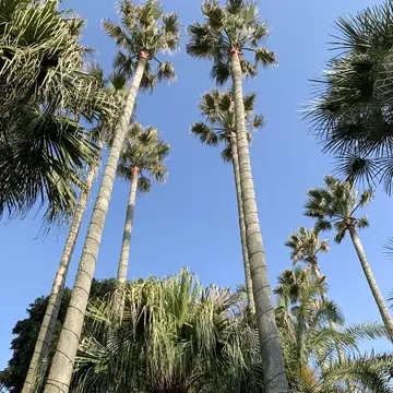 サムエル・コッキング苑