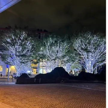 グランドハイアット東京のクリスマスツリー