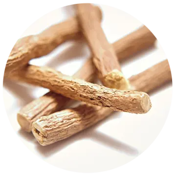 リコリス由来成分（有効成分）