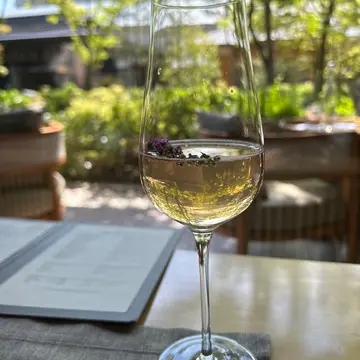 桜スカッシュで乾杯🥂