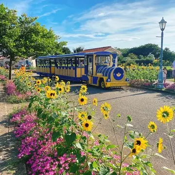 横須賀 ソレイユの丘 園内