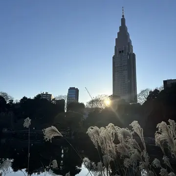 新宿御苑　都内　新宿　散策　自然　花　ビル　庭園