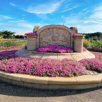 横須賀 ソレイユの丘 園内