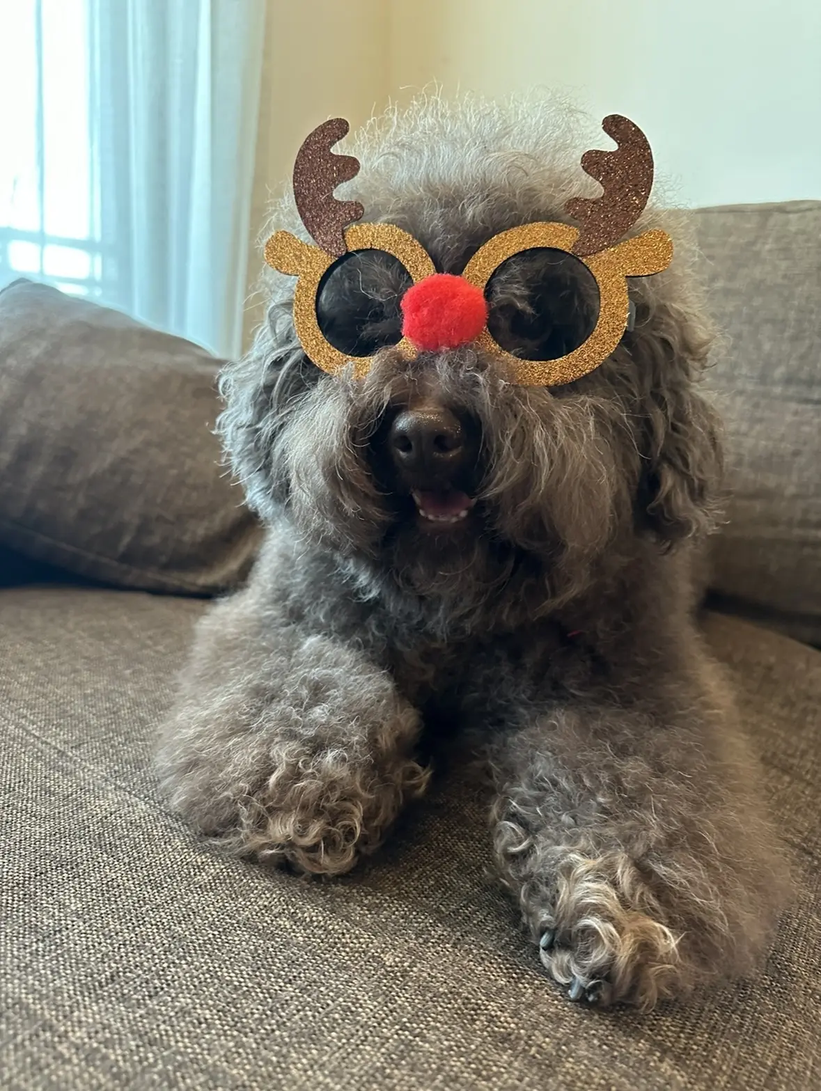 エクラ 華組　根村麻里さんの愛犬