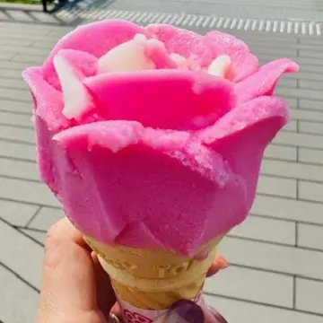 国内旅行　秋田　秋田旅行　角館　大曲　秋田犬　花火大会　武家屋敷　秋田土産　秋田銘菓　
 比内地鶏　羽田空港　秋田空港　日本酒　地酒　地ビール  桜　花見 もろこし　日本三大花火　秋田駅　ババヘラア