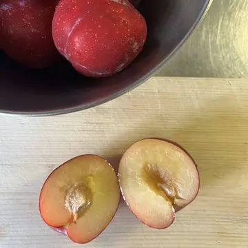 プラム　カット