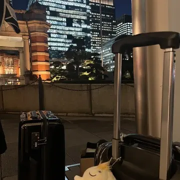 マスコットは藤井風さんグッズ。「ウィンディちゃん」連れてきました！