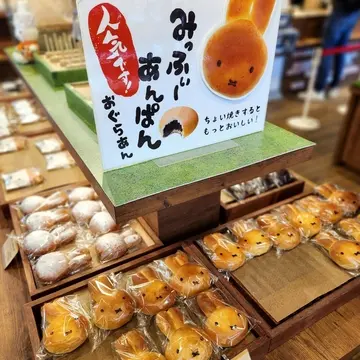 人気のみっふぃーあんぱん🐰