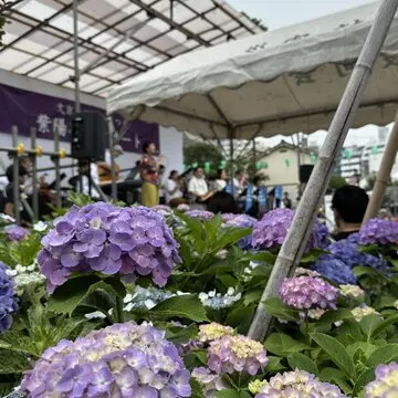 ジャズフェスティバル