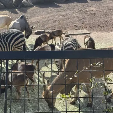 伊豆アニマルキングダム