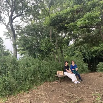 天園ハイキングコース見晴台