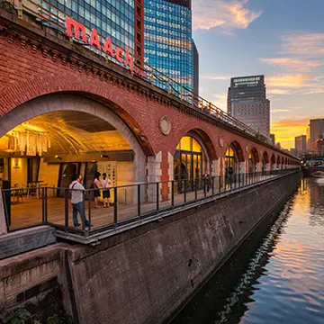 ねこいっぱいのバンダナの画像_1