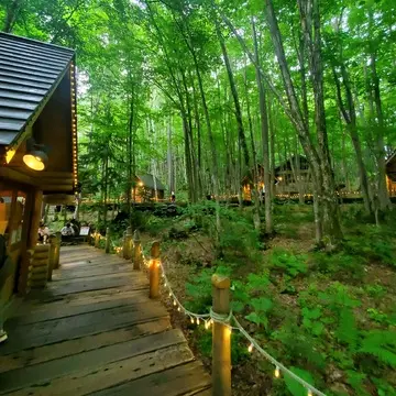 ライトアップされてとても素敵な雰囲気です。