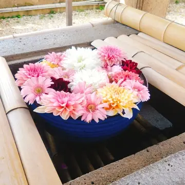 上野東照宮の花手水