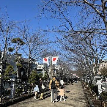 鶴岡八幡宮　初詣　お正月