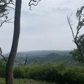 天園ハイキングコース