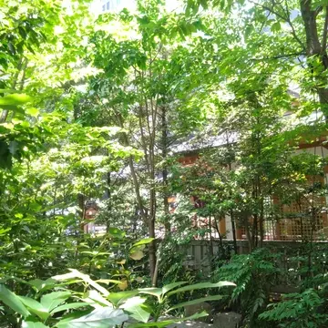 福徳神社、芽吹稲荷、日本橋、金運、パワースポット