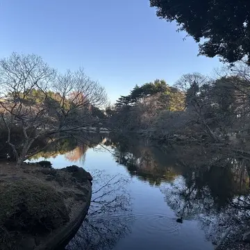 新宿御苑　新宿　自然　散策　草木　花　都内　冬