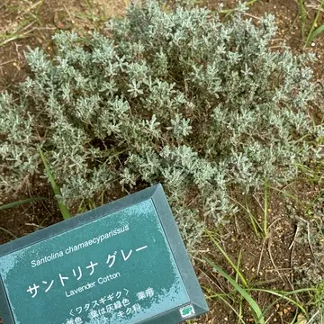 九十九里ハーブガーデン