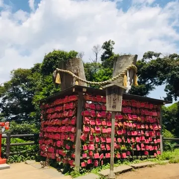 むすびの木　haru