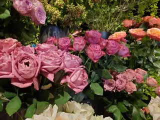 バラいろいろ