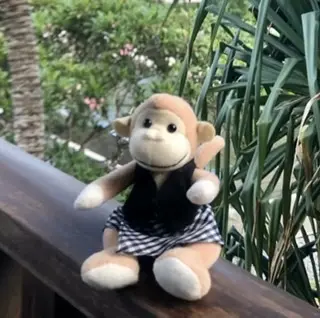 コンラッドバリのモンキー　ケチャダンス