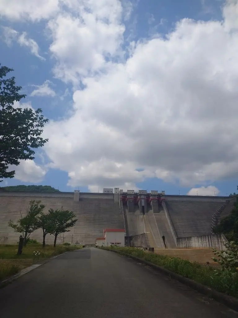 ダム堤のコンクリート構造と複数の水門、道路と緑地が広がる風景