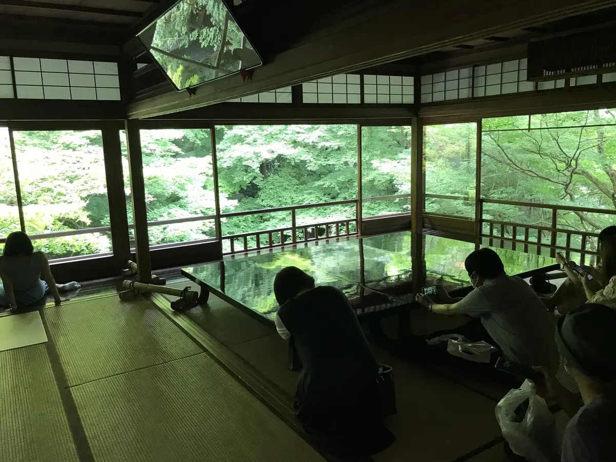 瑠璃光院　青もみじ