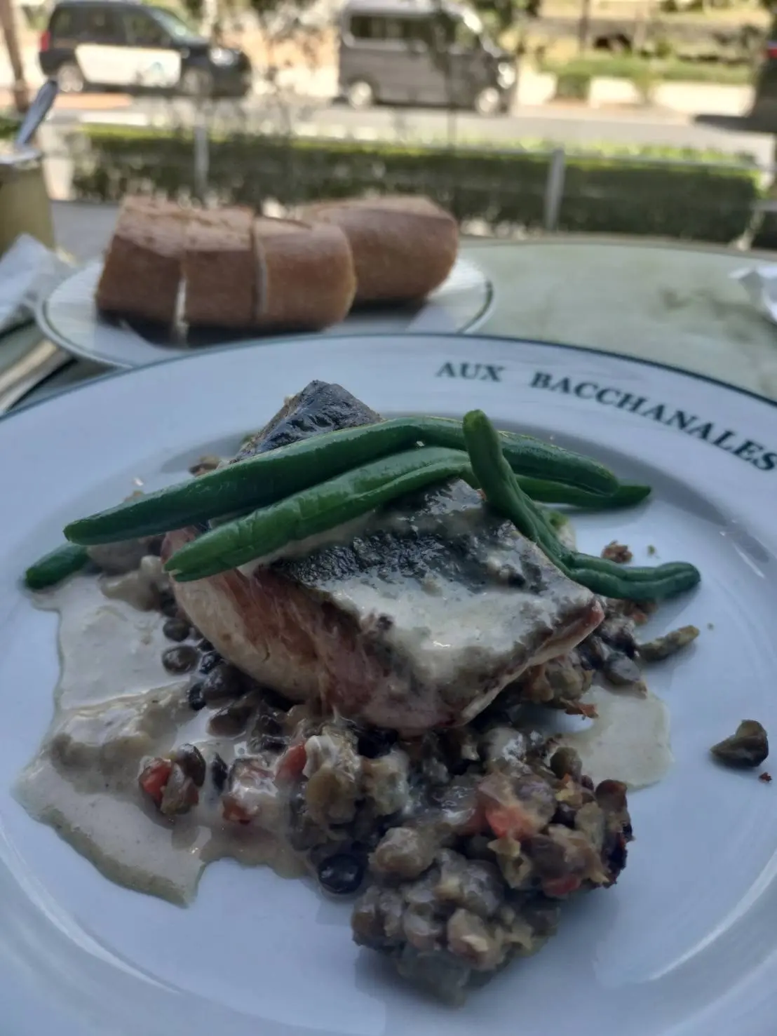 お花見の時期の特等席の画像_5