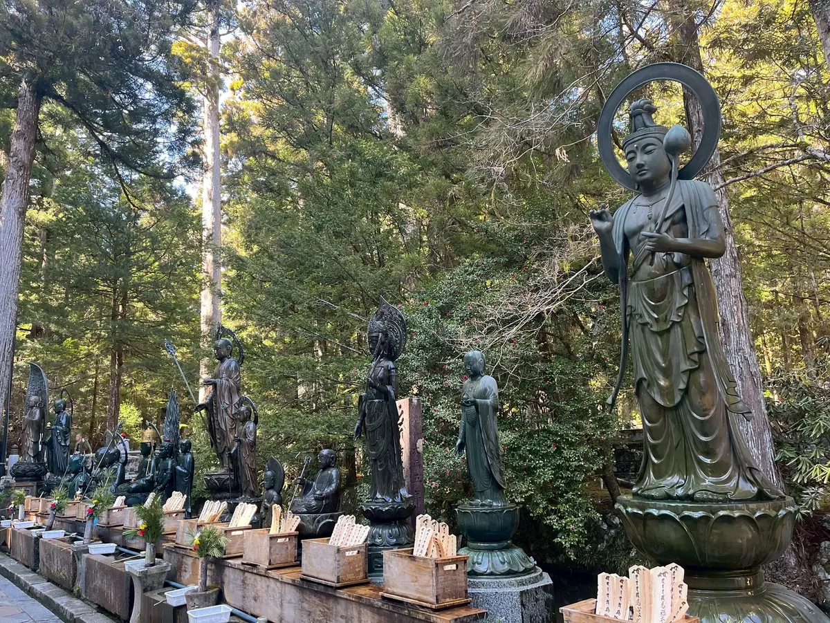 「人生で一度は叶えたいことを、大人になっの画像_6