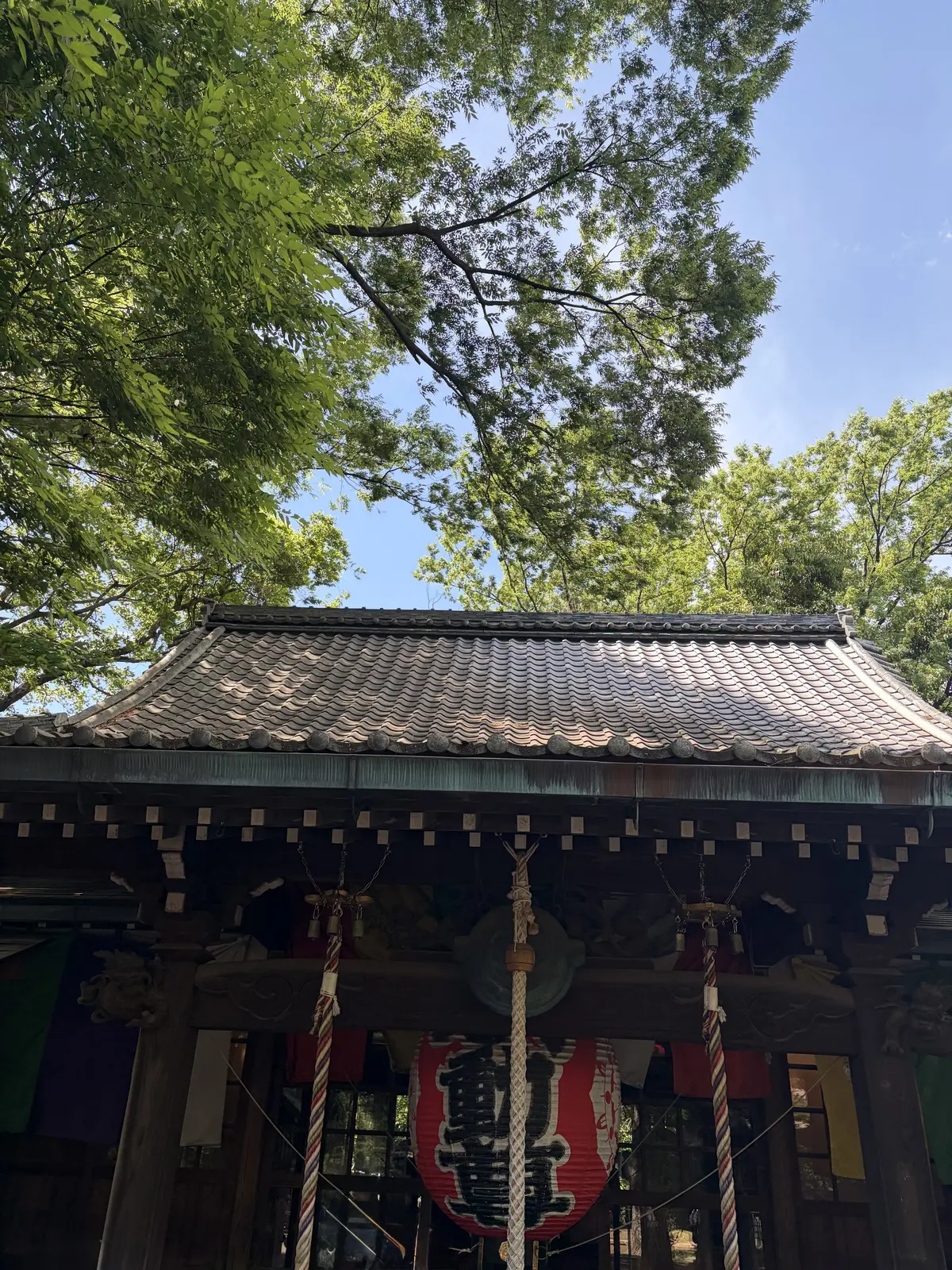等々力不動尊